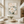 White Peony Textured Flowers | Neutral Floral Wall Art