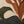 Unfolding Foliage | Earth‑Toned Botanical Form Textured Wall Art