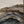 Strata Waves | Grey‑Brown Earth‑Tone Undulating Textured Piece