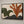 Unfolding Foliage | Earth‑Toned Botanical Form Textured Wall Art