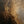Thick Textured Neutral Abstract Painting | Amber Haze