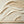 3D Impasto White Textured | Earth Currents