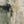 Textured Neutral Abstract Painting | Verdant Fragment