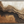 3D Textured Art | Golden Ridgeline