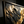 Gilded Shadow | Black Gold Textured Wall Art