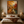 Golden Autumn Forest Landscape | Textured Nature Wall Art