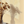 Warm Tone Still Life Painting | Window Floral Shadow