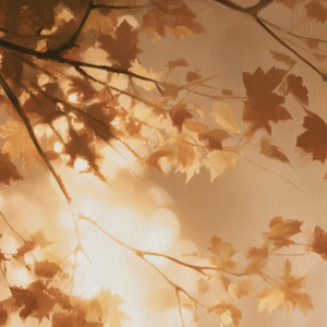 Autumn Maple Glow | Warm Natural Wall Piece