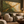 Olive and Gold Layers | Textured Abstract Wall Art