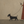 Walking Moment | Vintage Figure With Dog Wall Art