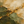 Olive and Gold Layers | Textured Abstract Wall Art